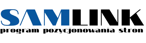 Program do pozycjonowania stron